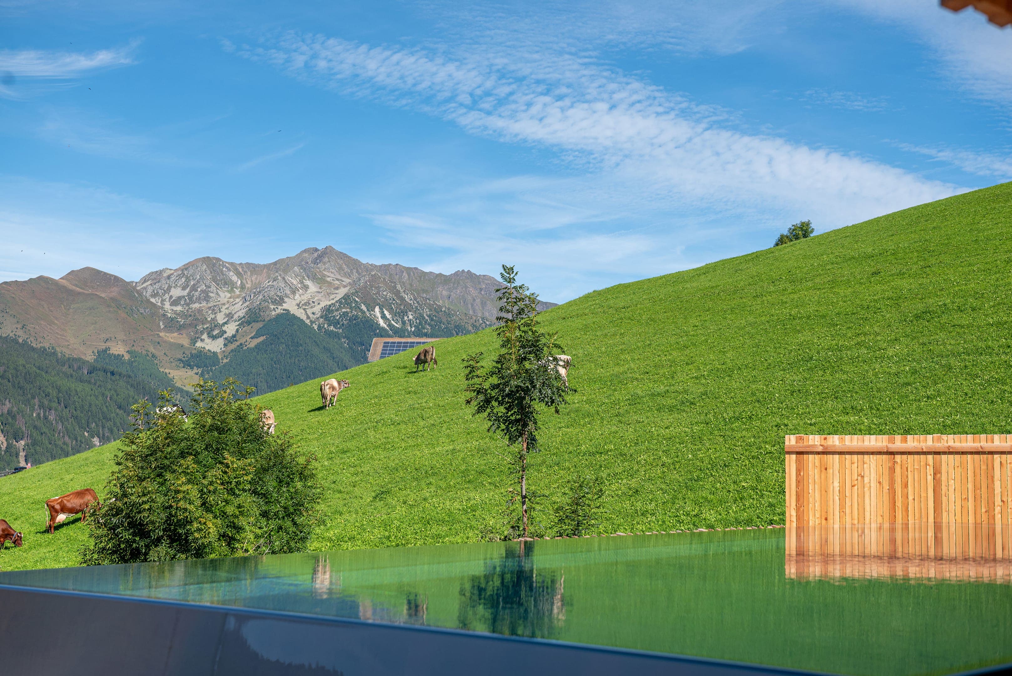 Pool Chalet Sky - Bild 8